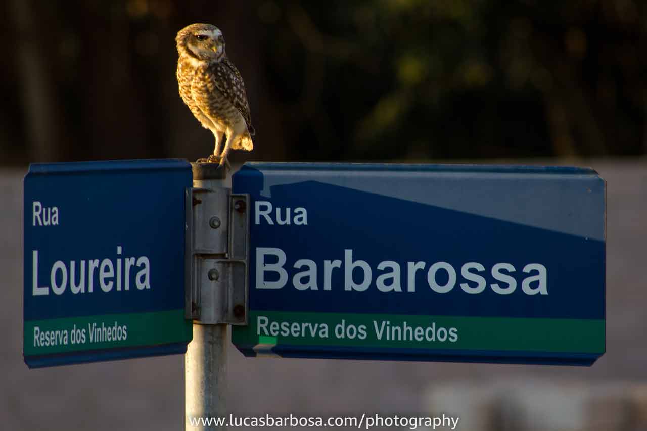 Reserva dos vinhedos